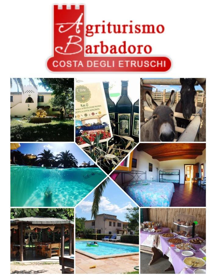 Barbadoro Çiftlik konaklama San Vincenzo